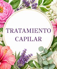 Tratamiento Capilar
